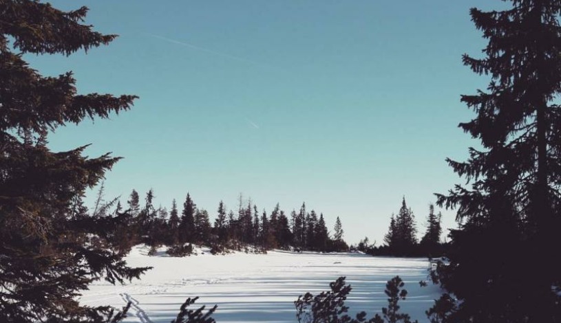 Hotel CROCUS **** Vysoké Tatry